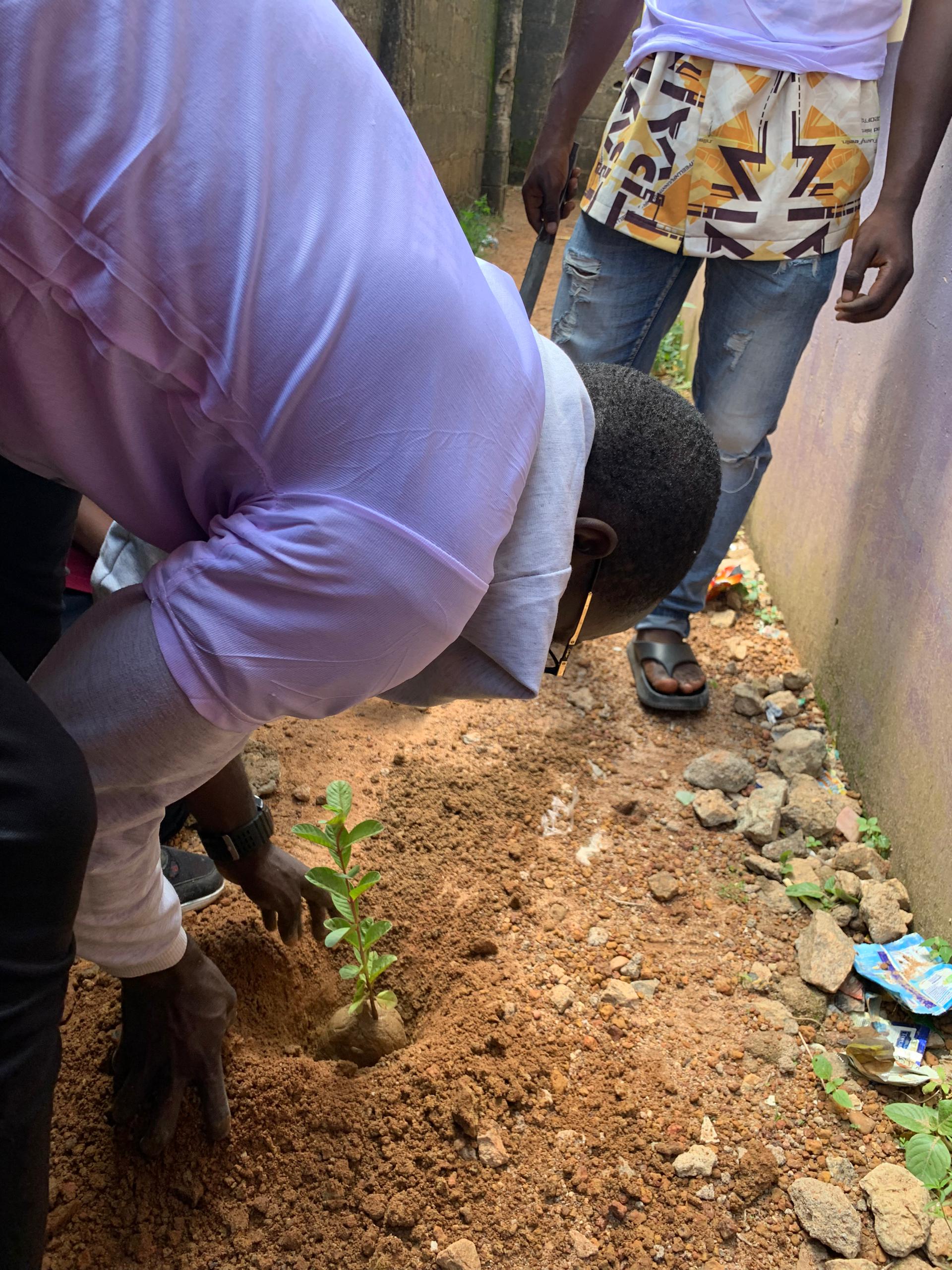 Green Glow Up Africa — Climate Resilience Education & Tree Planting Gallery